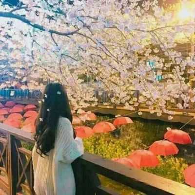 唯美意境头像女生背影2018最新 原谅我性格古怪无人疼爱