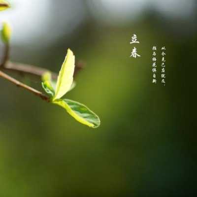 2018有关立春的图片大全唯美 2018关于立春节气的图片精选