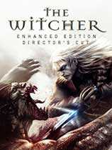 巫师加强版（The Witcher Enhanced Edition）物品叠加补丁