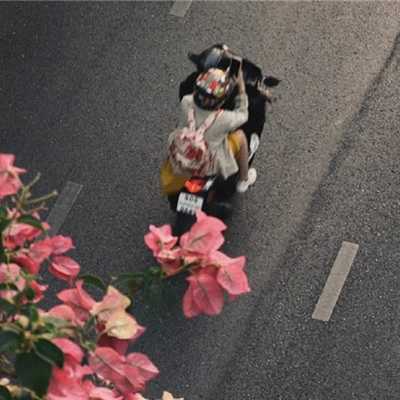 2024无聊发个朋友圈的神仙配图 看起来令人开心的配图很优质合集